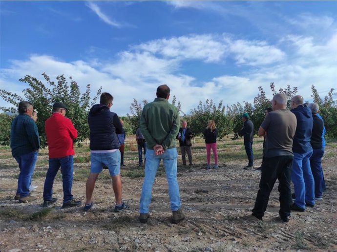 Imagen de las jornadas de información a los agricultores interesados en el Proyecto Pistacho BAIN.