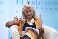 Tocino aboga por bajar los impuestos para reducir la factura de la luz y pide no regular "cada día de manera diferente"