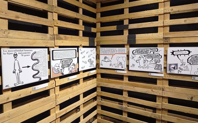 Exposición 'La Ciencia según Forges' en el Museo del Jurásico de Asturias (MUJA).