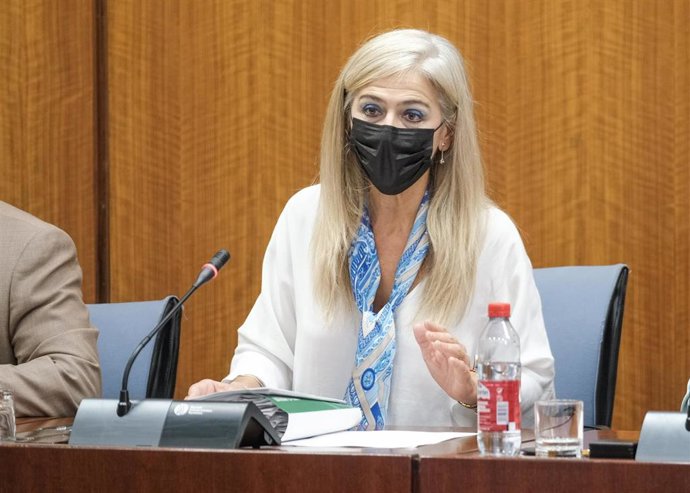 Del Pozo dice que "la apuesta por la cultura y la vacunación" generó un 138% más de usuarios que el verano 2020