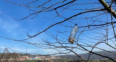 Galicia Rural