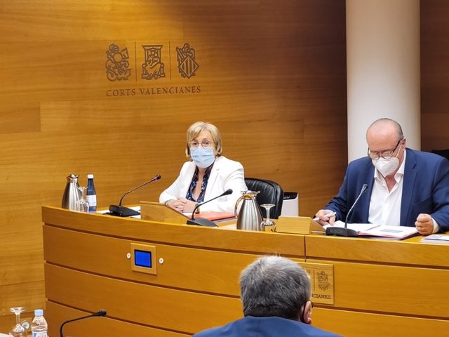 Barceló interviene en la comisión de Sanidad de les Corts