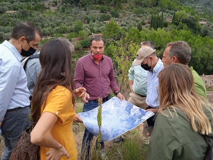Comienzan los análisis y estudios para consolidar el talud de Fornalutx y evitar que se derrumbe.