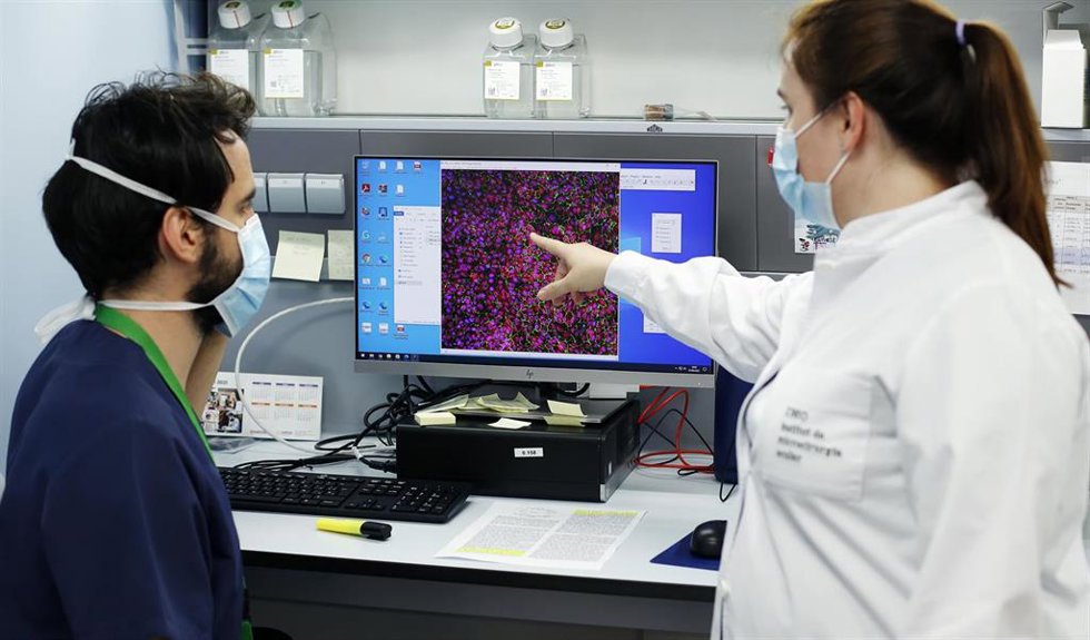 Laboratorio de genética