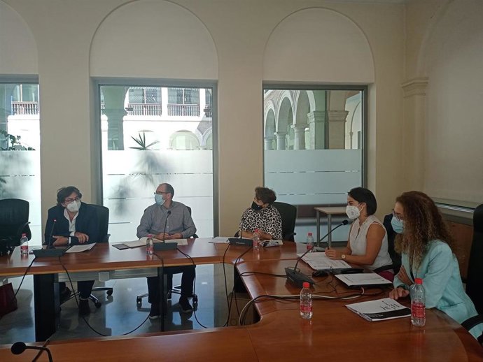 Comisión Provincial de Seguimiento de los Convenios Específicos de Cooperación Educativa para el Curso 21/22 y la Organización del Practicum