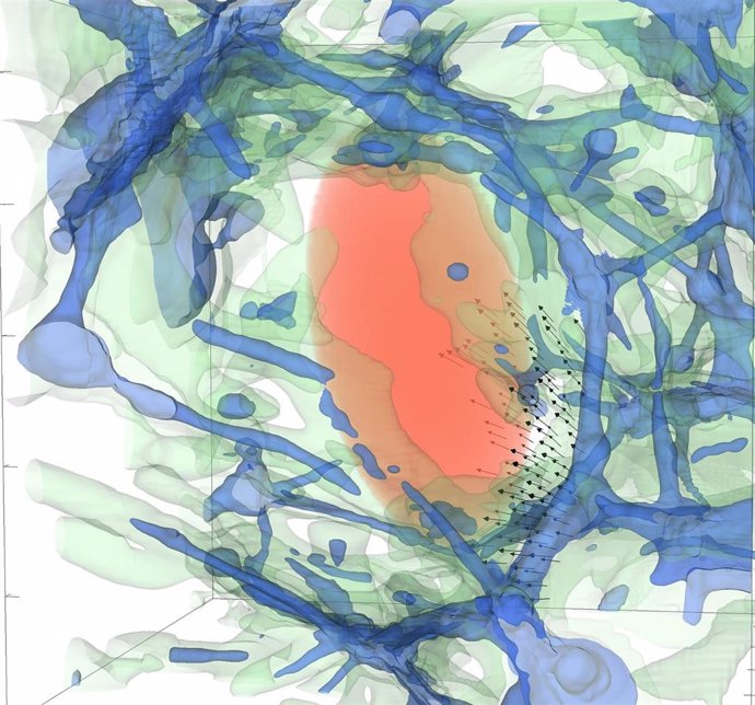 Representación tridimensional de un volumen del universo en la cual se aprecia cómo la distribución de materia formada por filamentos y cúmulos de galaxias (de color azul y verde) rodea a un vacío cósmico (en color rojo). 