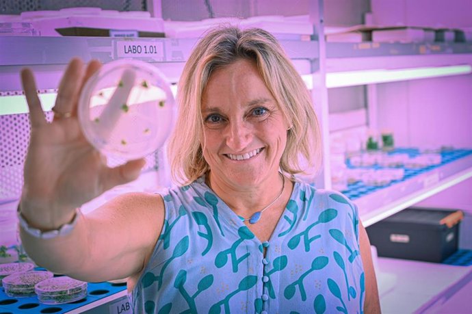 Cristina Ferrándiz, investigadora del IBMCP y primera autora del trabajo publicado en The Plant Cell.