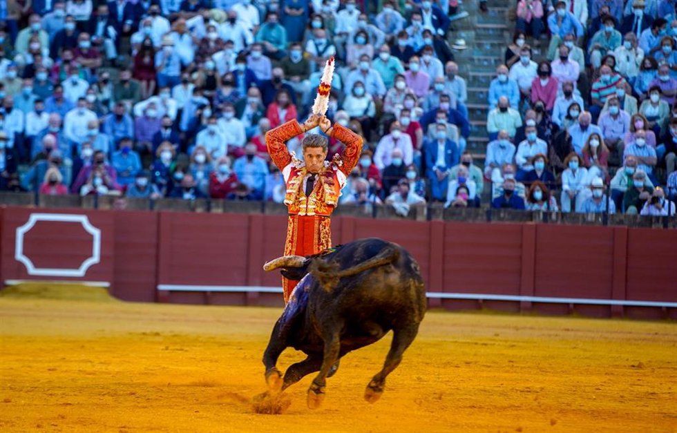 El torero Manuel Escriba,  poniendo un par de banderilla a sus segundo toro de la tarde, en el 14 festejo de la Feria de San Miguel a 03 de octubre del 2021 en la Real Maestranza de Caballería de Sevilla (Andalucía).