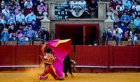 Fundación Toro de Lidia, sobre la exclusión de los toros del bono cultural joven: "Un escándalo de dimensiones cósmicas"