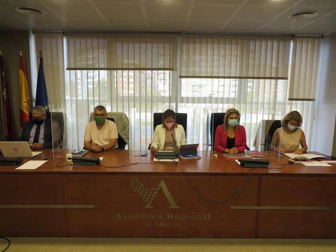 Comisión de Economía, Hacienda y Presupuesto. Audiencia legislativa en relación con el Proyecto de Ley de medidas fiscales urgentes para el sector de la restauración y hostelería. Comparece Manuel Hernández Maruenda