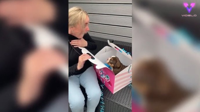 Sorprenden a una mujer regalándole un cachorro en su 50 cumpleaños