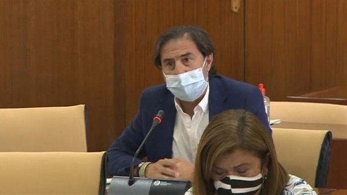 El diputado de Vox en el Parlamento de Andalucía, Benito Morillo.