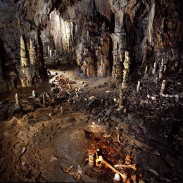 Cueva de La Garma
