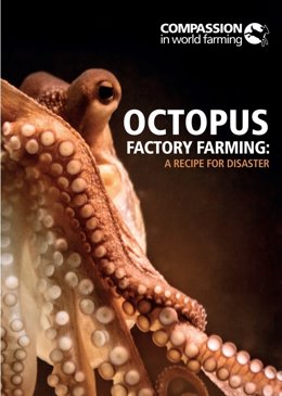 Portada del informe Octopus Factory Farming - A Recipe for Disaster