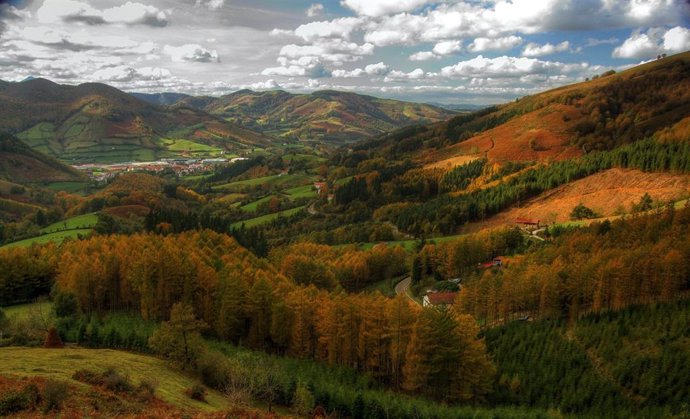 La ocupación rural en el puente del Pilar alcanza el 60%, 14 puntos más que en 2020