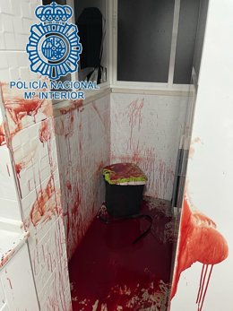 Imagen del estado de la vivienda