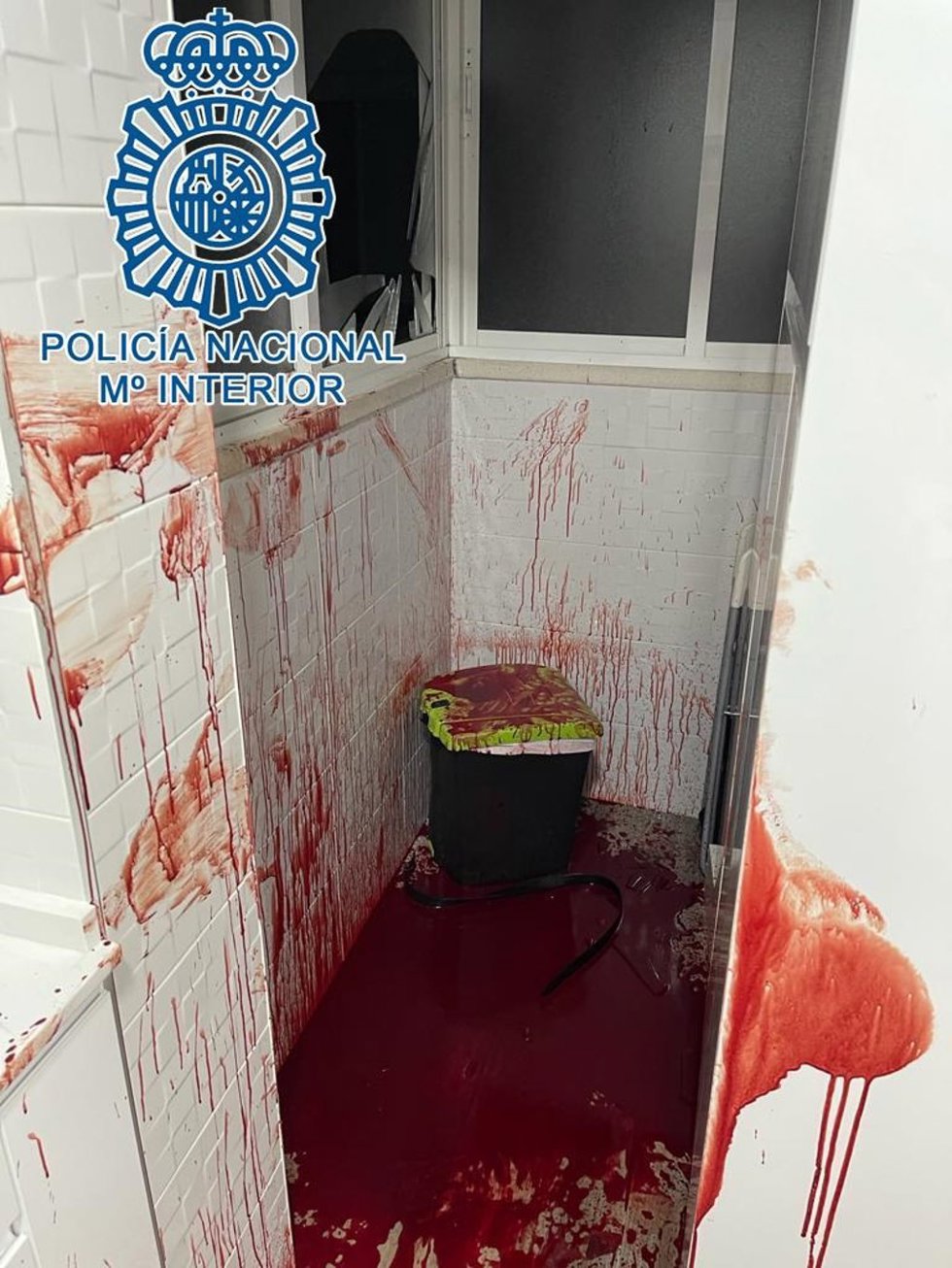 Imagen del estado de la vivienda