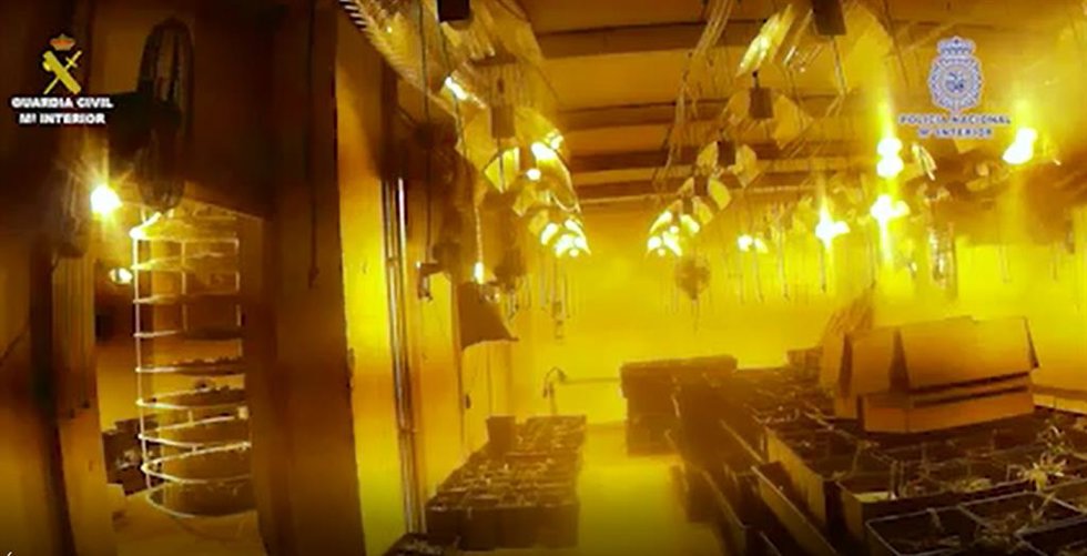 Desmantelada una organización de tráfico de drogas que operaba desde Alginet