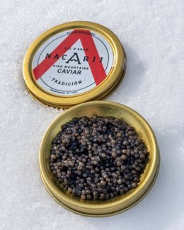Caviar Nacarii