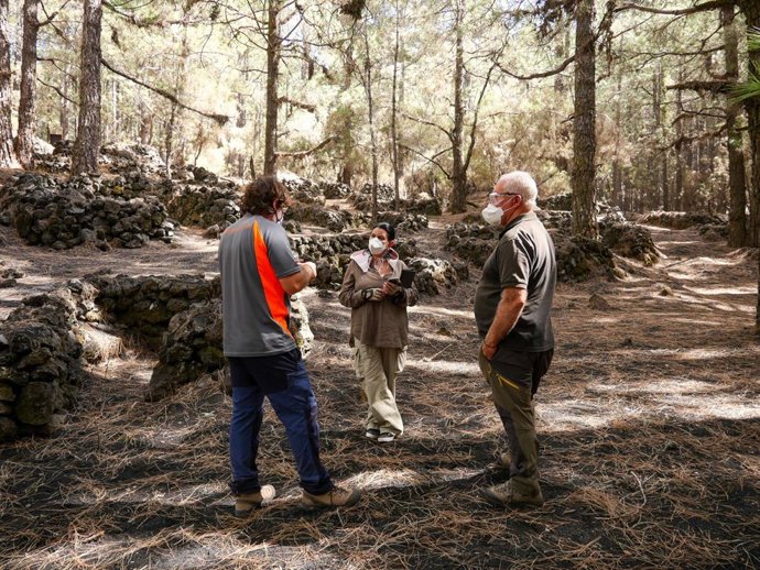 Trabajos de preservación del poblado etnográfico del barranco de las ovejas, en El Paso, amenazado por la ceniza volcánica