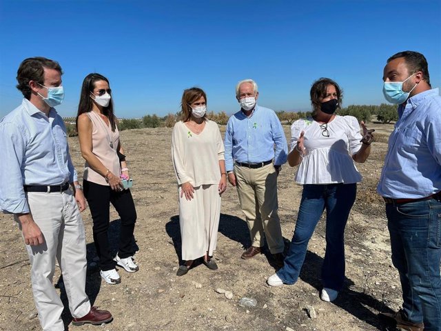 Visita a los terrenos de la Ciudad Sanitaria.