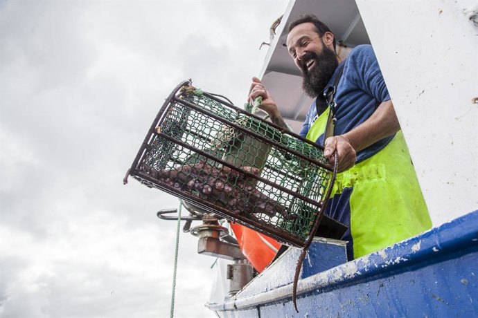 Pescador de pulpo