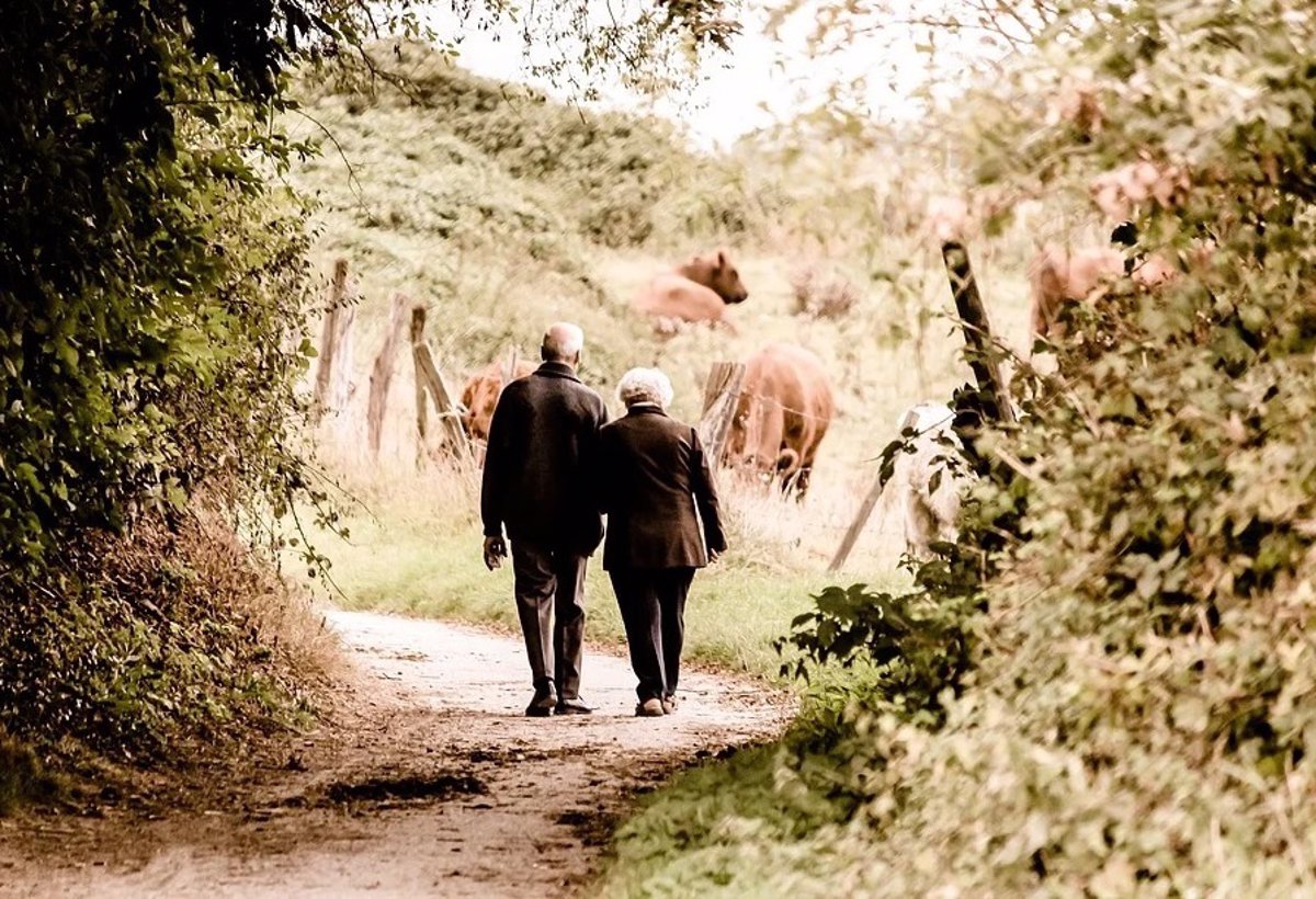 Spending time in nature can reduce health costs thanks to its physical and mental health benefits