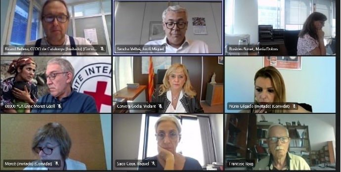 La Comissió de Govern de la RGC 