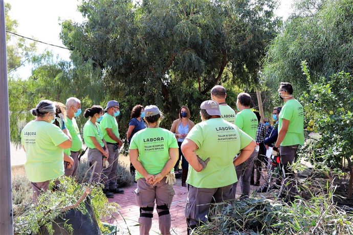 Archivo - Alicante.-El Ayuntamiento ofrece formación remunerada a 30 parados de larga duración en el programa Talleres Empleo 2022