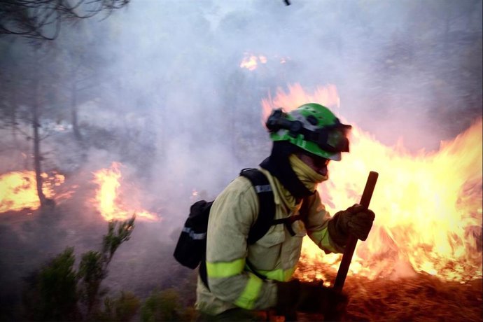Un bombero lucha contra las llamas del incendio forestal declarado el 8 de septiembre de 2021 en Sierra Bermeja, en la provincia de Málaga (Foto de archivo).