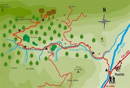 Imagen de la ruta senderista de árboles milenarios en el monte Aá en Ruente