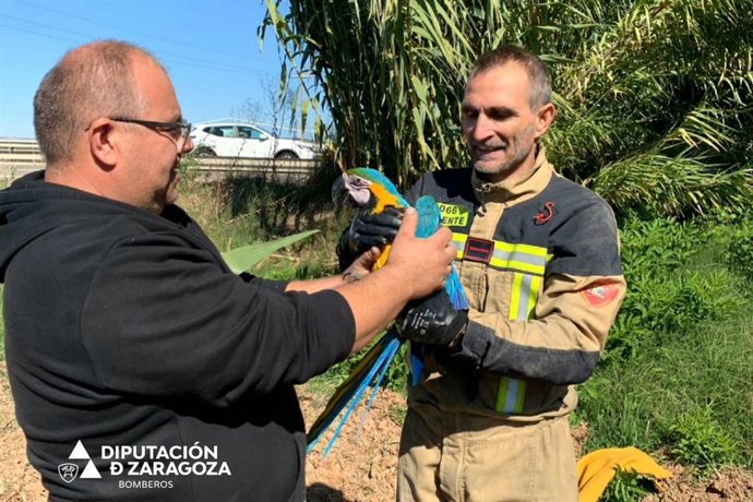 EL guacamayo ha podido ser capturado