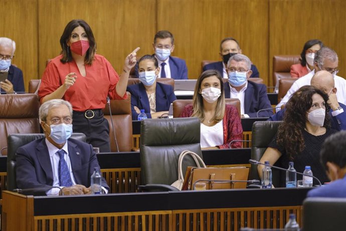 Archivo - La portavoz parlamentaria del PSOE-A, Ángeles Férriz, en el Pleno del Parlamento andaluz en una foto de archivo.