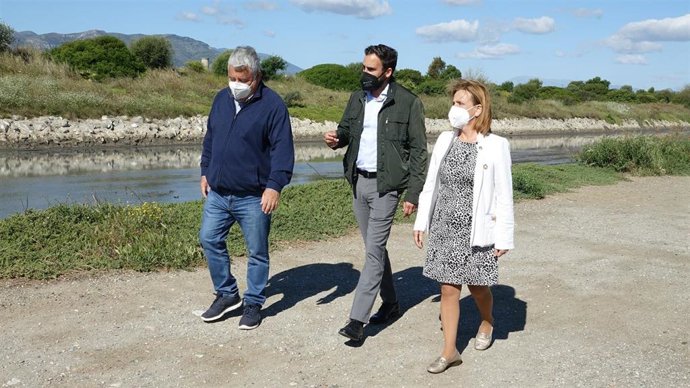 Archivo - Málaga.- El PSOE exige al Ayuntamiento que proteja las aves en cría en la ciudad de Málaga