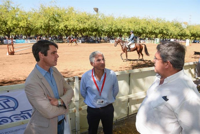 El Ayuntamiento de Sevilla ha destacado "la amplia programación" deportiva que ha acogido la capital andaluza durante este fin de semana