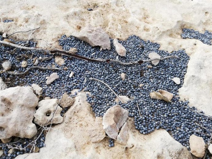 Casquillos en el campo de tiro de Can Trujillo, en Calvi.