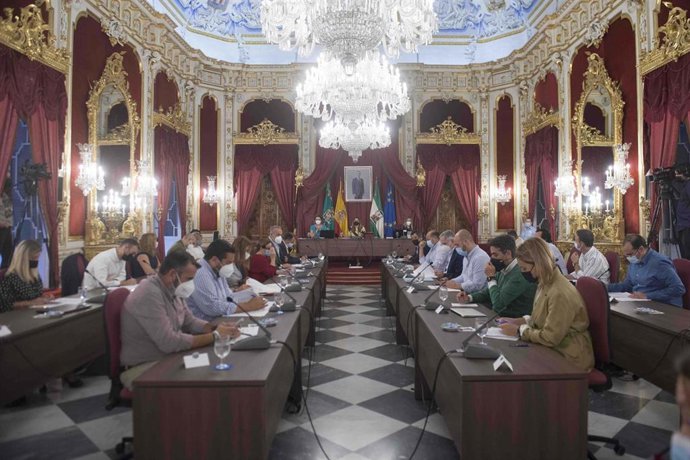 Pleno de la Diputación.