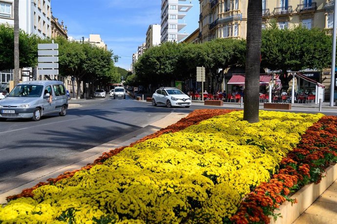 Flores con la bandera de España en una plaza de Almería.