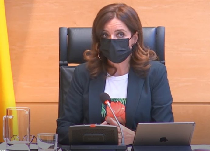 La consejera de Empleo e Industria, Ana Carlota Amigo, comparece en Comisión en las Cortes.