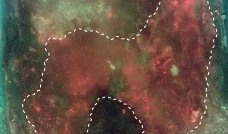 Comunicados Internacional