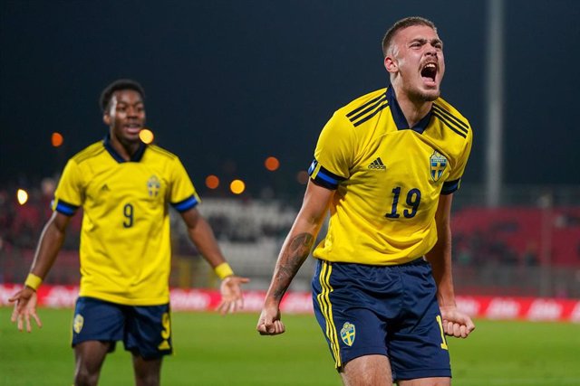 Tim Prica celebra el gol de Suecia ante Grecia