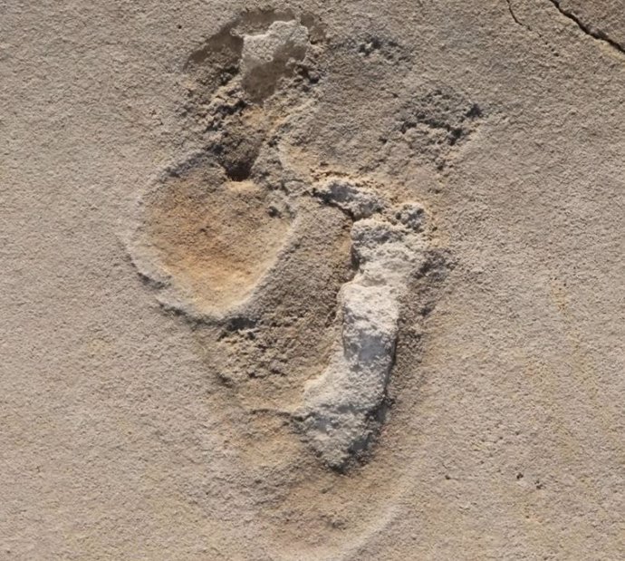 Huellas en la arena: una de las más de 50 huellas de los predecesores de los primeros humanos identificadas en 2017 cerca de Trachilos, Creta. Las técnicas de datación ahora han demostrado que tienen más de seis millones de años.