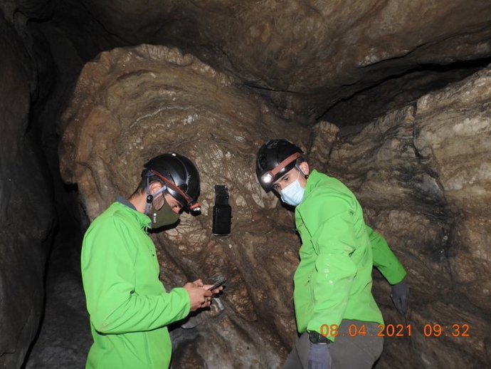 Las grabadoras tienen una frecuencia que permite grabar los ultrasonidos e identificar los diferentes tipos de quirópteros.