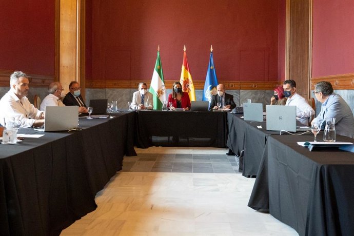 Reunión de la Comisión Ejecutiva y el Consejo Municipalista Andaluz de la FAMP