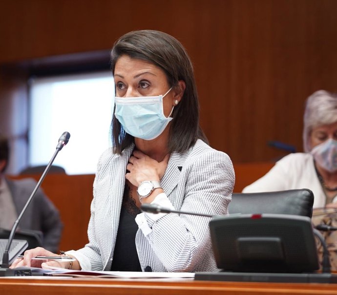 La diputada de Ciudadanos en las Cortes de Aragón, Loreto Camañes.