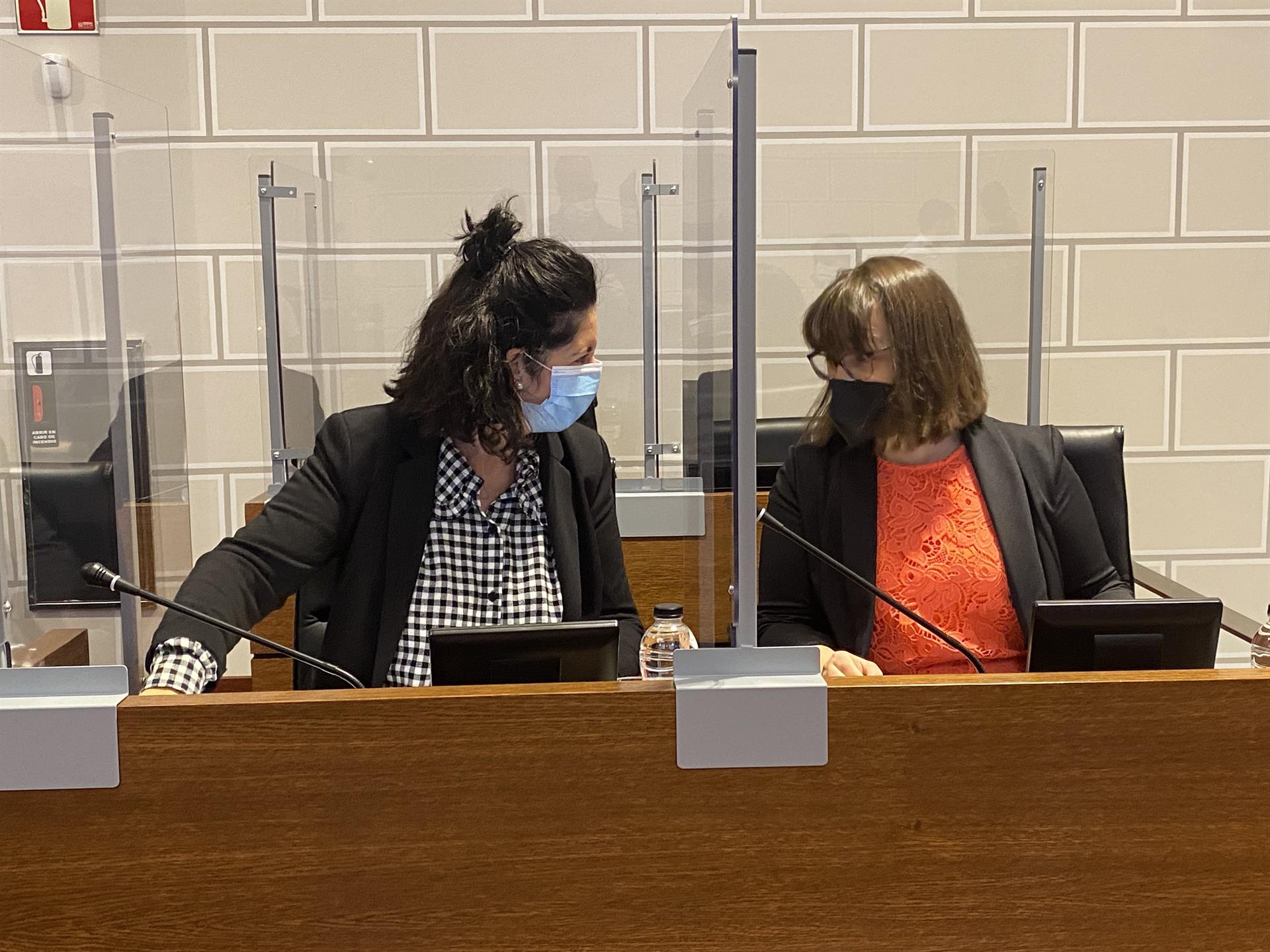 Las diputadas provinciales Elena García (izquierda), de IU, y Susana Palomar (derecha), de Podemos. © Europa Press.
