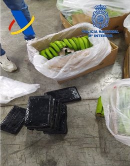 Cocaína intervenida en cajas de plátano en el puerto de Algeciras.