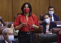 PSOE reclama a Moreno retirar su reforma de la Atención Primaria por estar  diseñada "de espaldas" a personal sanitario