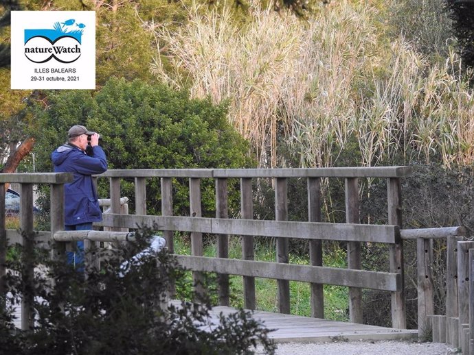 Archivo - Alcúdia acoge este mes el V Encuentro Nacional de Turismo de Observación de la Naturaleza, NatureWatch