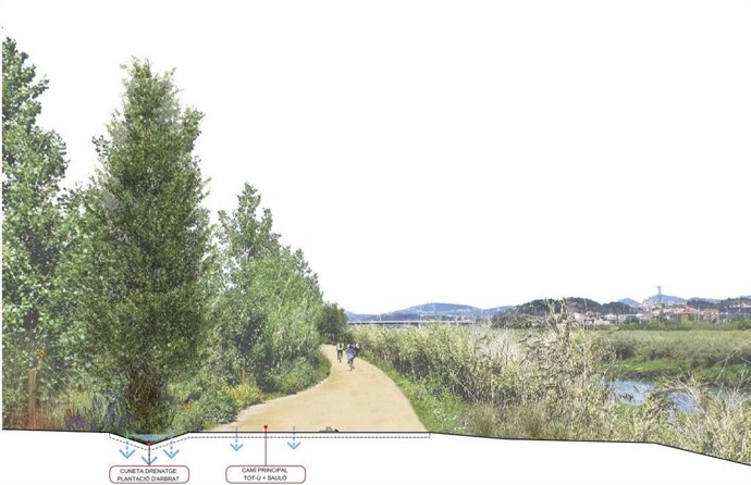 El rea Metropolitana de Barcelona (AMB) ha destinado 1,9 millones a la recuperación del río Llobregat.